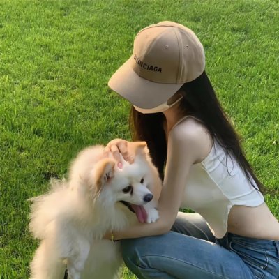 有猫的迷宫